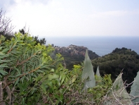 Cinqueterra