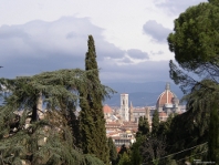 Florence_View
