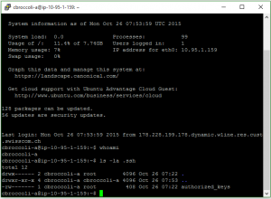 ssh_login